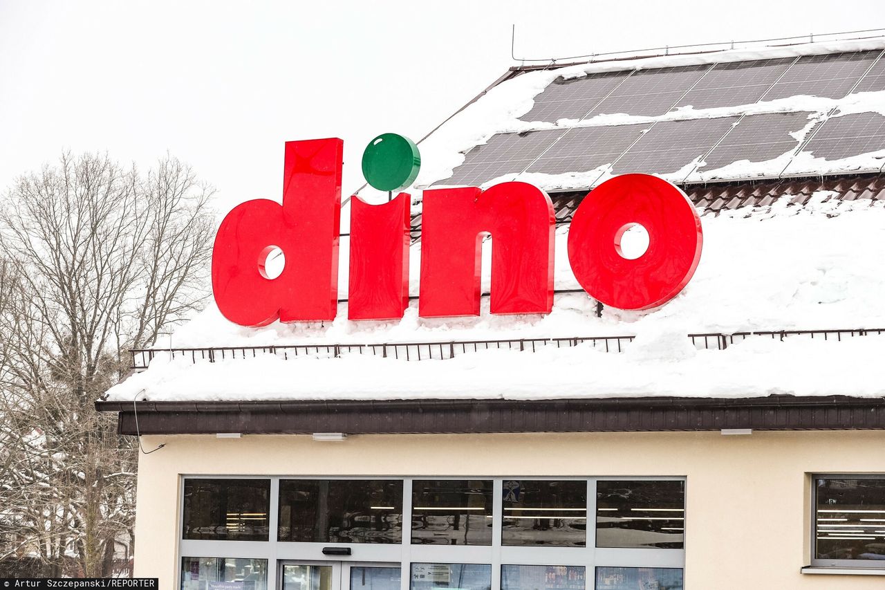 Pokazała jedzenie w Dino. Sygnalistka wyrzucona z pracy