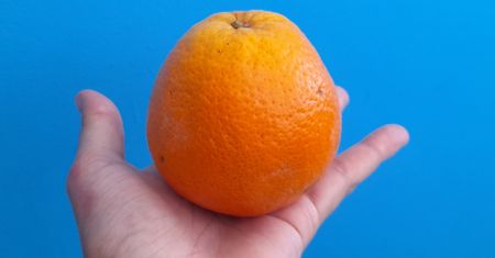 Wykonaj prosty test w sklepie. Kupisz najlepsze pomarańcze