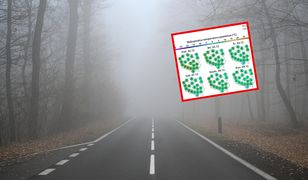 Co z nadejściem zimy? Jest prognoza na 10 dni