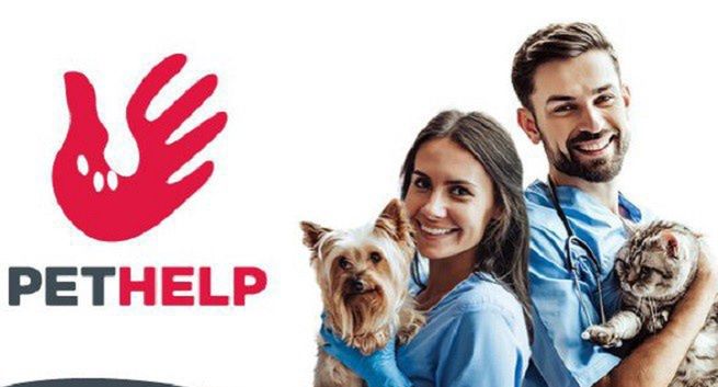 Weterynaryjny startup Pethelp otrzymał 2 mln zł dofinansowania