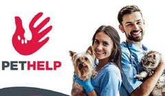 Weterynaryjny startup Pethelp otrzymał 2 mln zł dofinansowania