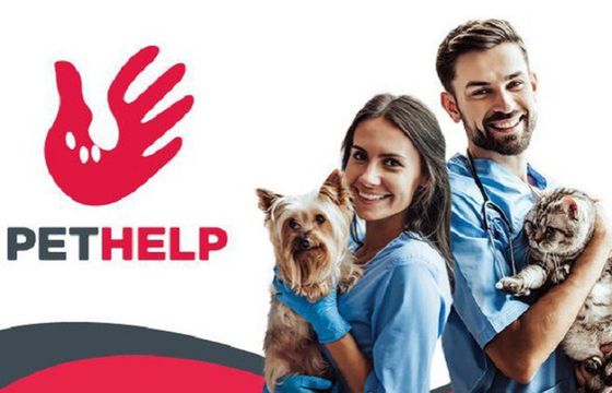 Weterynaryjny startup Pethelp otrzymał 2 mln zł dofinansowania