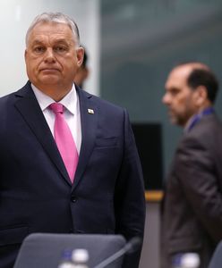 Media: Orban o włos od wywołania konfliktu na Bałkanach