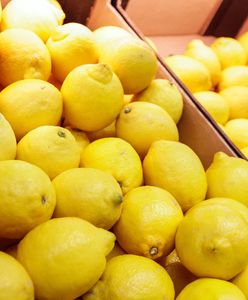 Szokująca kwota. Tyle trzeba zapłacić za cytrynę w Warszawie