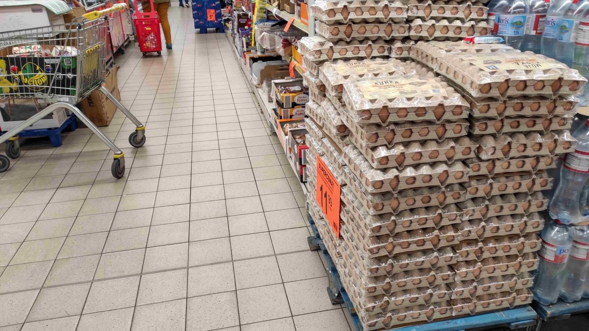 Ostrzeżenie GIS. Kontrola wykazała obecność bakterii salomnelli