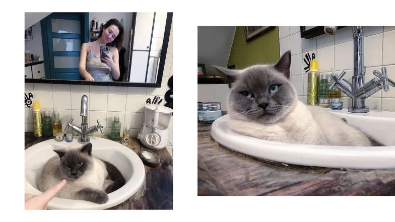 Dom Aleksandry Popławskiej w pobliżu Puszczy Kampinowskiej