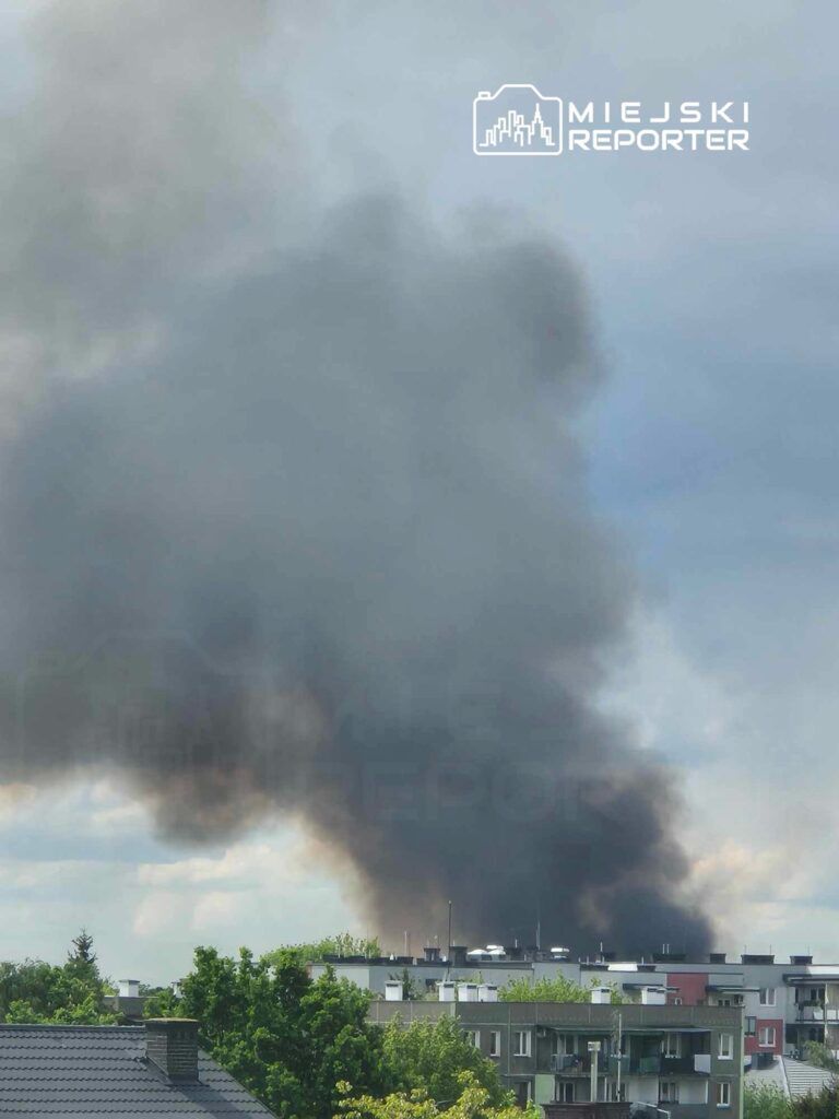 Fot. Czytelniczka Miejskiego Reportera