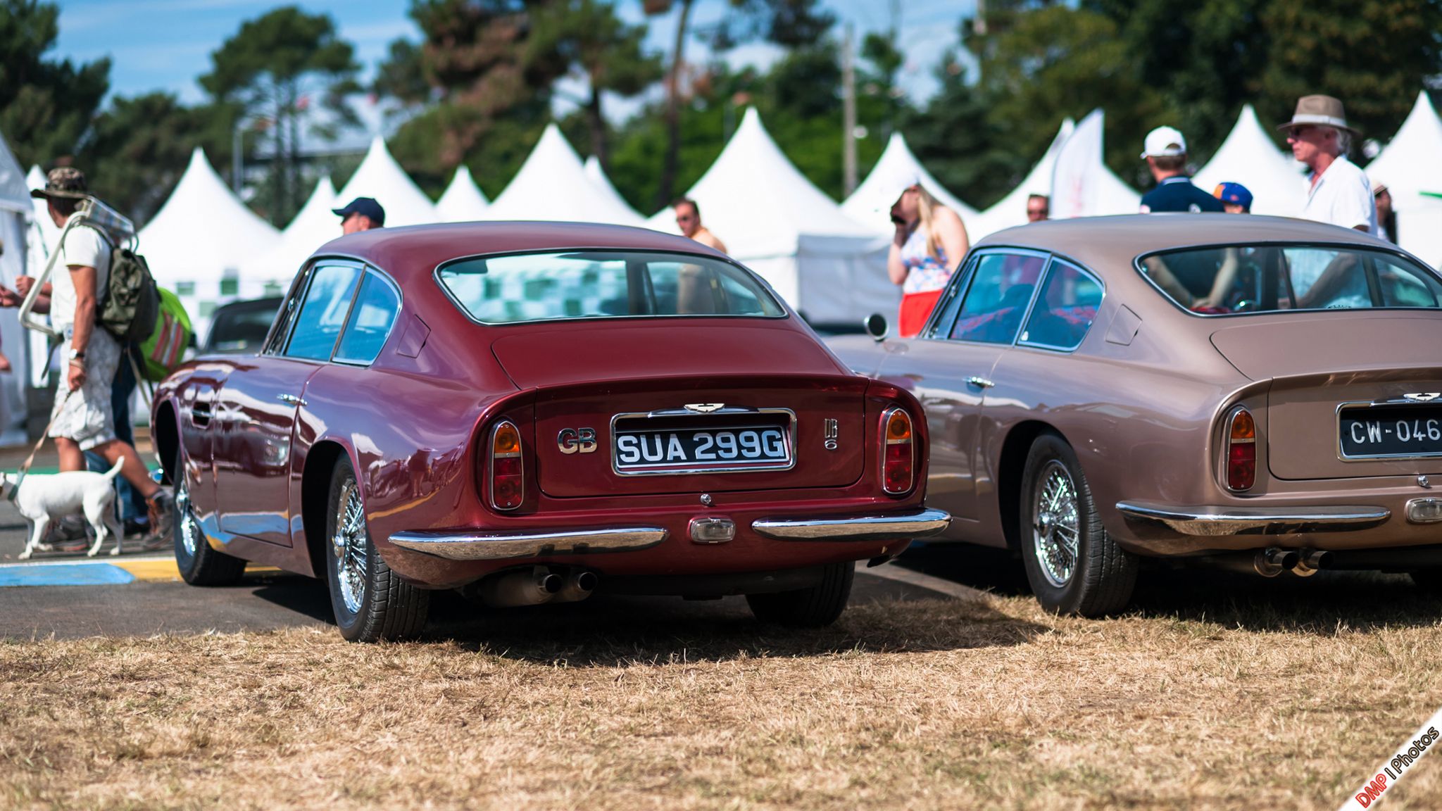 Pełna rozdzielczość