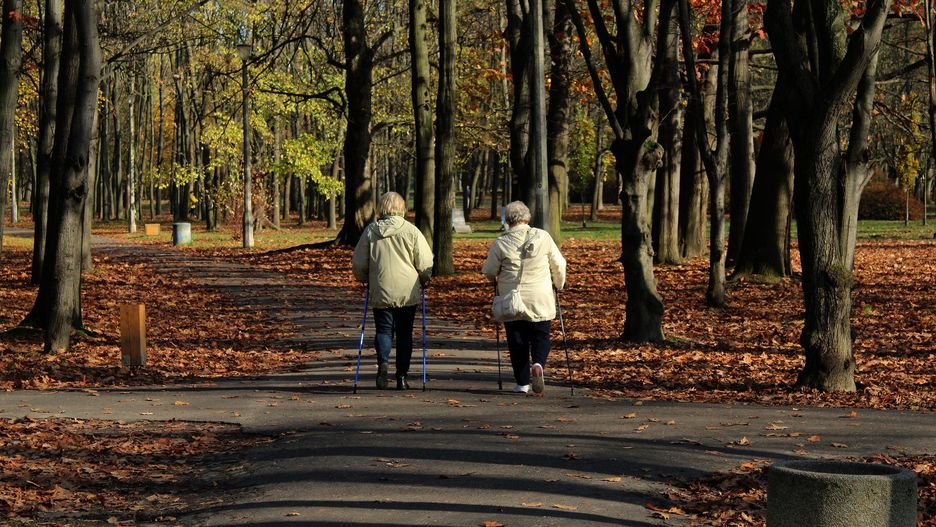 Według BIG InfoMonitor, polscy seniorzy (65+) mają na koncie rekordowy dług. Łączna kwota ich zaległych zobowiązań sięgnęła w III kwartale 2025 roku aż 12,2 mld zł.

W Małopolsce zadłużonych jest 21,8 tys. osób na łączną kwotę 689 tys. złotych. Średnie zadłużenie na osobę wynosi 31,5 tys. złotych.