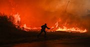 Pożary w Portugalii. Ewakuują ludzi, zamknięte drogi