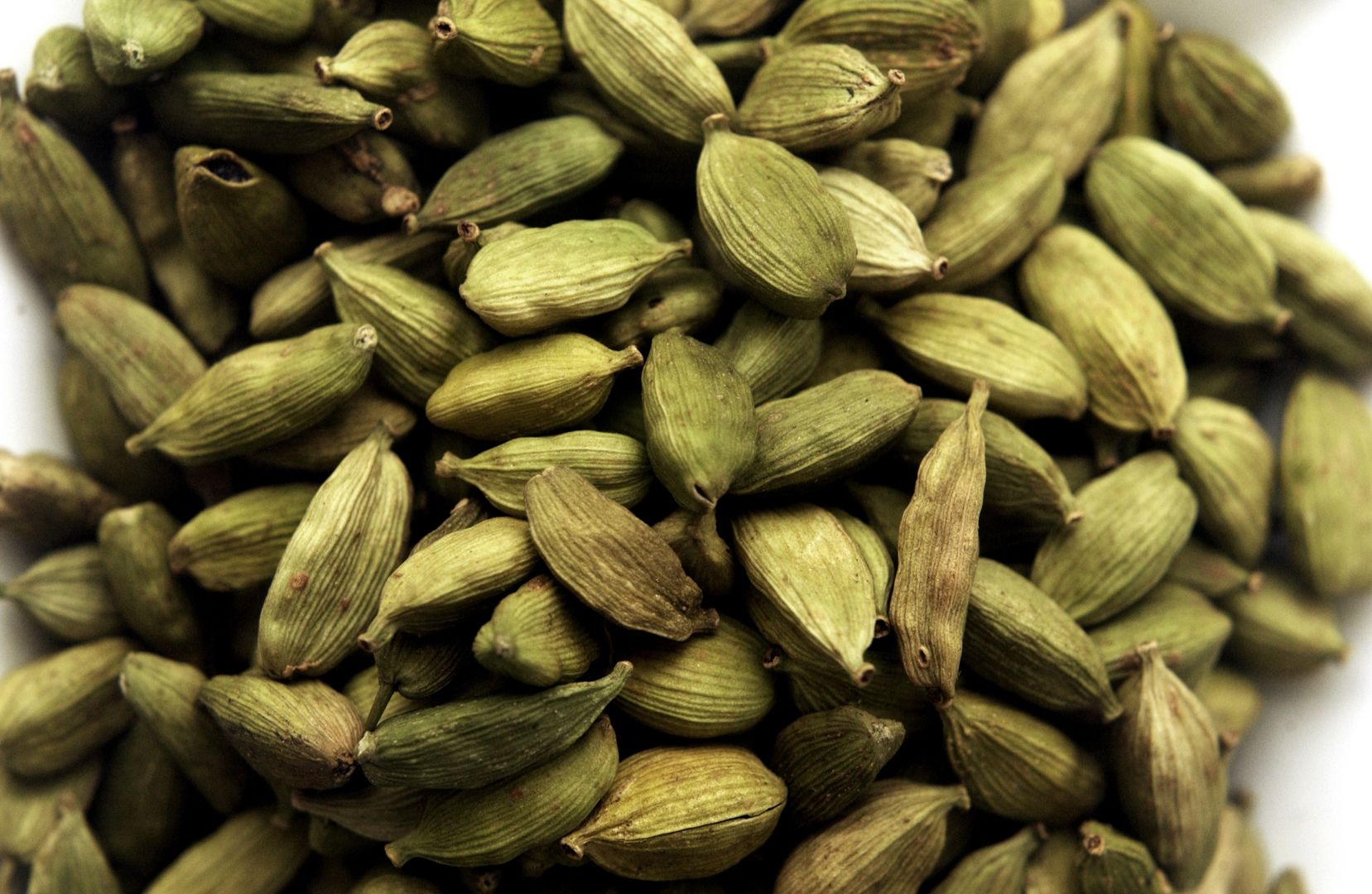 Green SeedsMass of green seeds shot on white paper. Shot over a year ago so I'm not exactly sure what there are (I'm not much of a chef)sidneybernstein"Dining, Change, DNA, Diner, Dinner, Food, Food And Drink, Freshness, Healthcare And Medicine, Healthy Lifestyle, Indian Culture, Ingredient, Meal, Nature, Organic, Plants", Restaurant, Seed, Traditional Culture, Vegetable, culinery