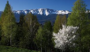 Beskidy. W górach dwie pory roku. W dolinach wiosna, w wyższych partiach zima