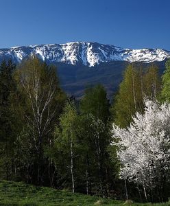 Beskidy. W górach dwie pory roku. W dolinach wiosna, w wyższych partiach zima