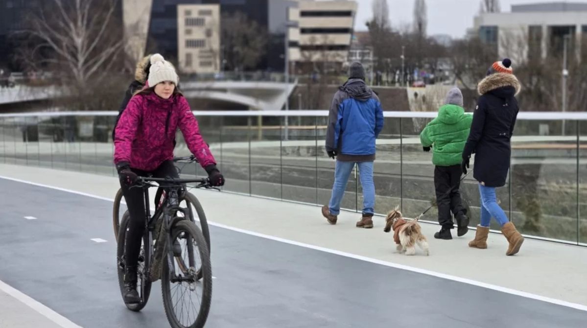 Najnowsza poznańska inwestycja stanowi zagrożenie dla ptaków?