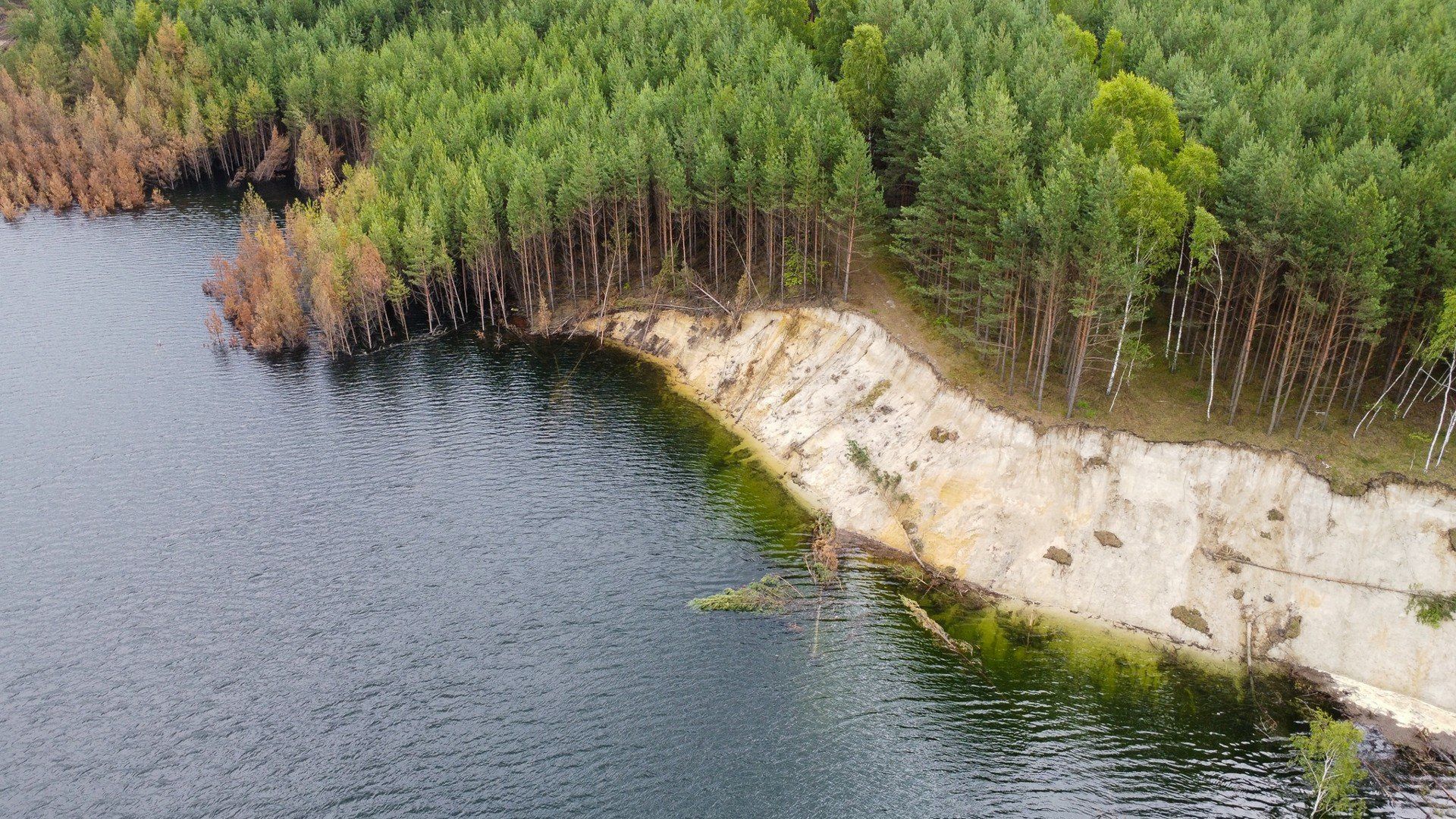 Zalewisko w Hutkach