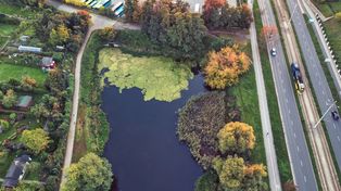 Toruń. Miasto podpisało umowę na rekultywację Kaszownika. Zmiany będą kosztować ponad 6 milionów złotych