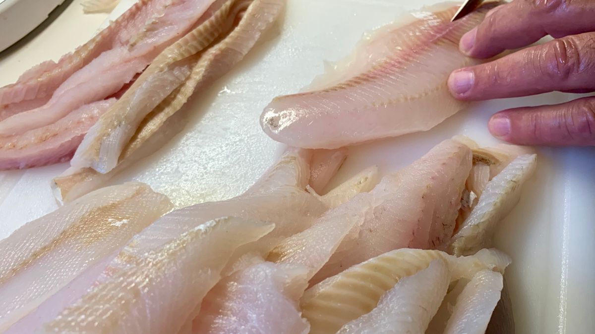 Prawie nie ma ości i jest bardzo zdrowa. Polacy omijają w sklepie, chociaż kosztuje mniej niż dorsz