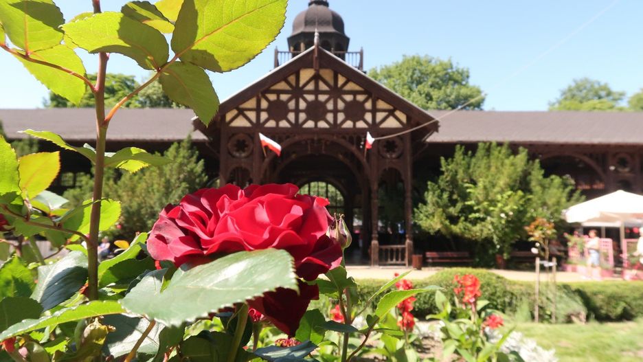 Hala Spacerowa - Uzdrowisko Szczawno-Zdrój