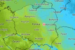 Do Polski wraca zima? "Śnieg chwilę poleży"