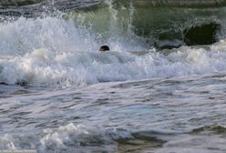 Tragedia na Teneryfie. Potężna fala porwała turystów