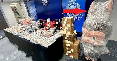 Policja konfiskuje figurkę Labubu. Jest warta ponad pół miliona