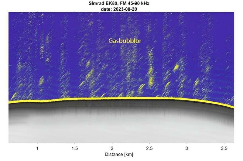 Za pomocą zaawansowanego sonaru badacze mogą obserwować słup wody, a w tym przypadku pęcherzyki gazu unoszące się z dna oceanu na powierzchnię