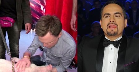 "Mam Talent": Publiczność oszalała na punkcie... defekującej świni!