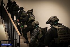 Pomorskie. CBŚP zlikwidowało agencje towarzyskie. Gang sutenerów rozbity