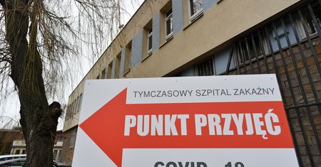 Wybrano Słowo Roku 2020 i Słowo Dekady. Niespodzianek nie ma