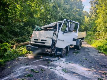 Drzewo spadło na auto. Kierowca cudem oszukał przeznaczenie