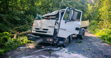 Drzewo spadło na auto. Kierowca cudem oszukał przeznaczenie
