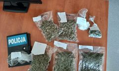 Śląskie. Uderzenie w narkobiznes, diler obiecuje poprawę