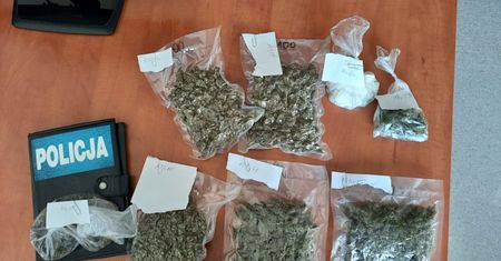 Śląskie. Uderzenie w narkobiznes, diler obiecuje poprawę