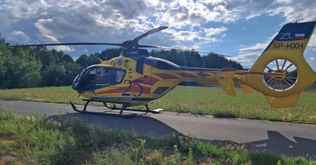 Szerszeń zabił strażaka. Tragedia pod Włocławkiem