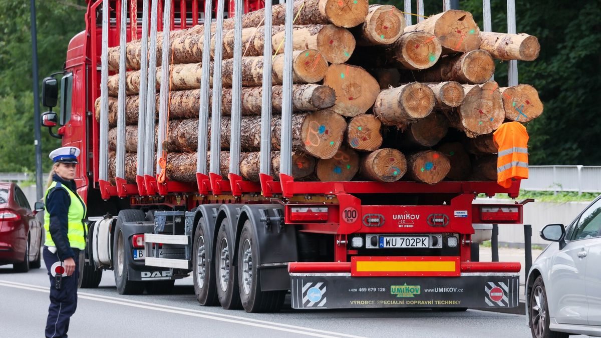 Akcja Greenpeace w Warszawie
Fot. Adam Burakowski/East News, Warszawa, 24.06.2024. Akcja Greenpeace w Warszawie, dotyczaca wycinki lasow. Aktywisci wyslali to Warszawy ciezarowke ze scietymi drzewami. Drewno ma byc zalacznikiem do petycji, w ktorej Greenpeace domaga si? od premiera Donalda Tuska spelnienia jego obietnicy i jak najszybszego, trwalego wylaczenia z wycinek 20 procent polskich lasow.
Adam Burakowski