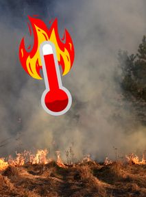 Grecja w ogniu. Z pożarami walczą też strażacy z Polski