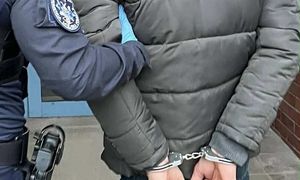 Kradzieże psów spod sklepu. Oto co za to grozi