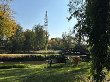 Zabytkowy park w Radzanowie może odzyskać dawny charakter. Trwają przygotowania
