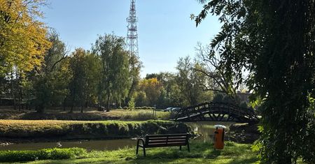 Zabytkowy park w Radzanowie może odzyskać dawny charakter. Trwają przygotowania