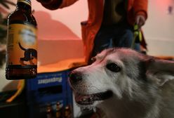 Drink dla psa? Wielka Brytania prekursorem dla czworonogów