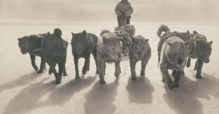 Historyczne zdjęcia z najbardziej dramatycznej wyprawy na Antarktykę