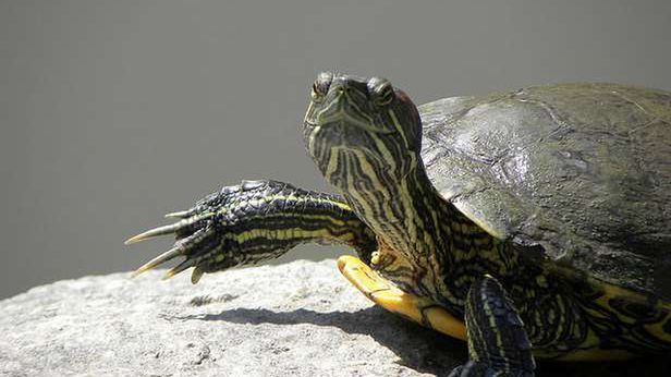 Wiosenne porządki w komputerze. TOP 5 programów 1