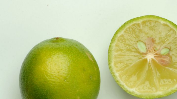 Limonka (Citrus aurantifolia), nazywana również limetką to owoc cytrusowy z rodziny rutowatych. 