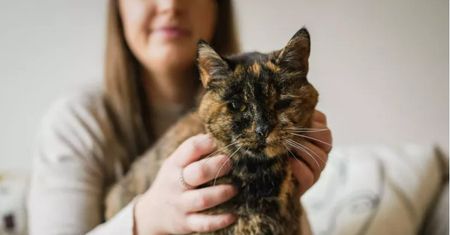 Najstarszy żyjący kot pobił rekord Guinnessa. Ma prawie 27 lat