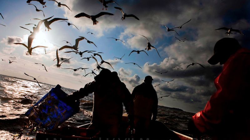 Rzeka dzieciństwa. Mikołaj Nowacki powraca nad Odrę [inspiracja] 1