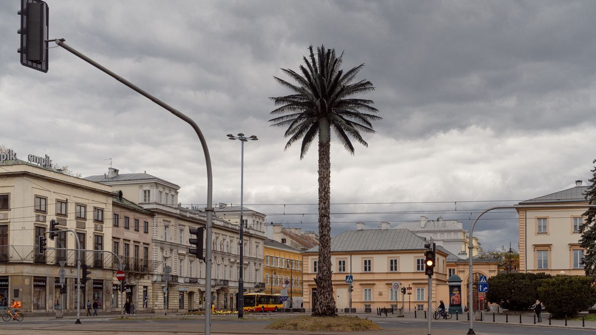 Warszawskie rondo de Gaulle`a.