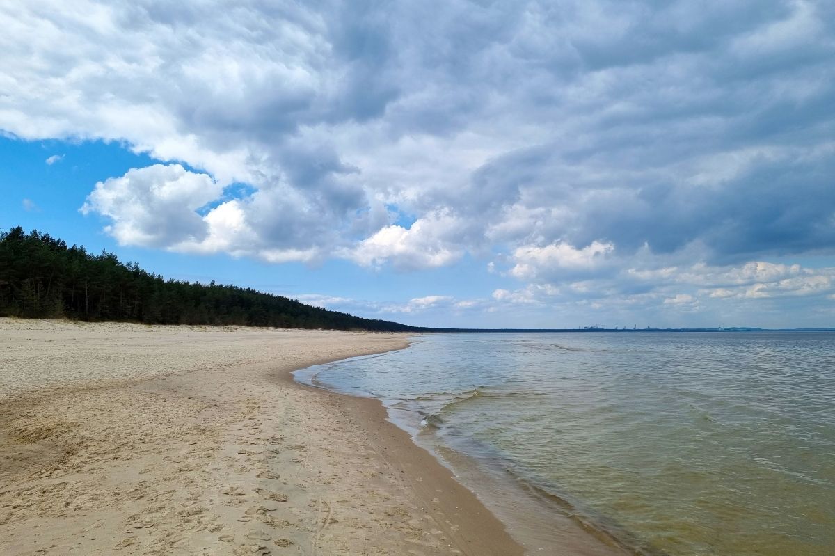 Prawdziwy skarb nad Bałtykiem. Znaleziony w stosie patyków