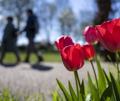 Pogoda na weekend: słońce, chmury i miejscami przelotny deszcz