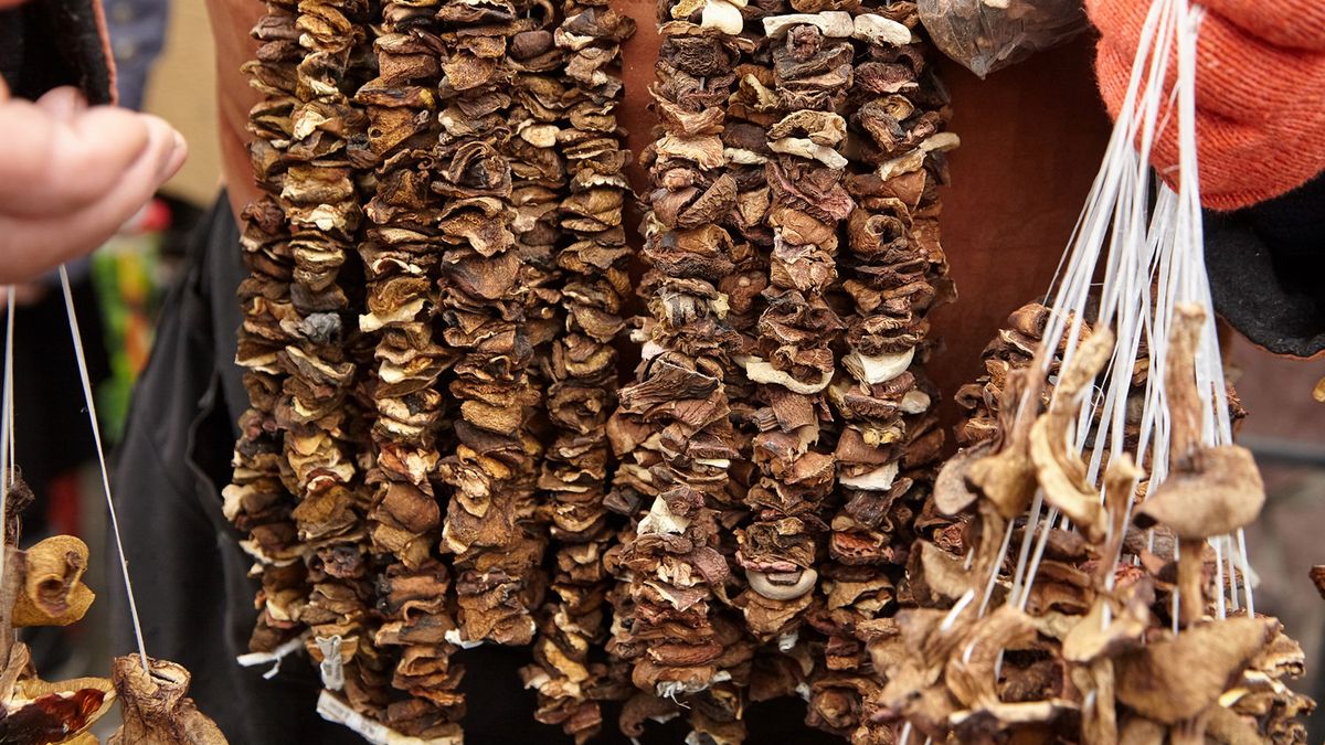 Jak prawidłowo suszyć grzyby?