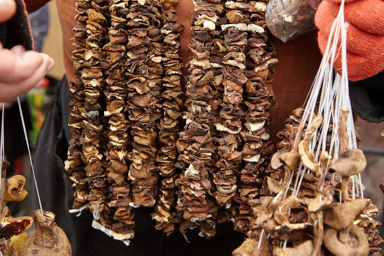 Kardynalny błąd. Zmienia suszone grzyby w rakotwórczą truciznę